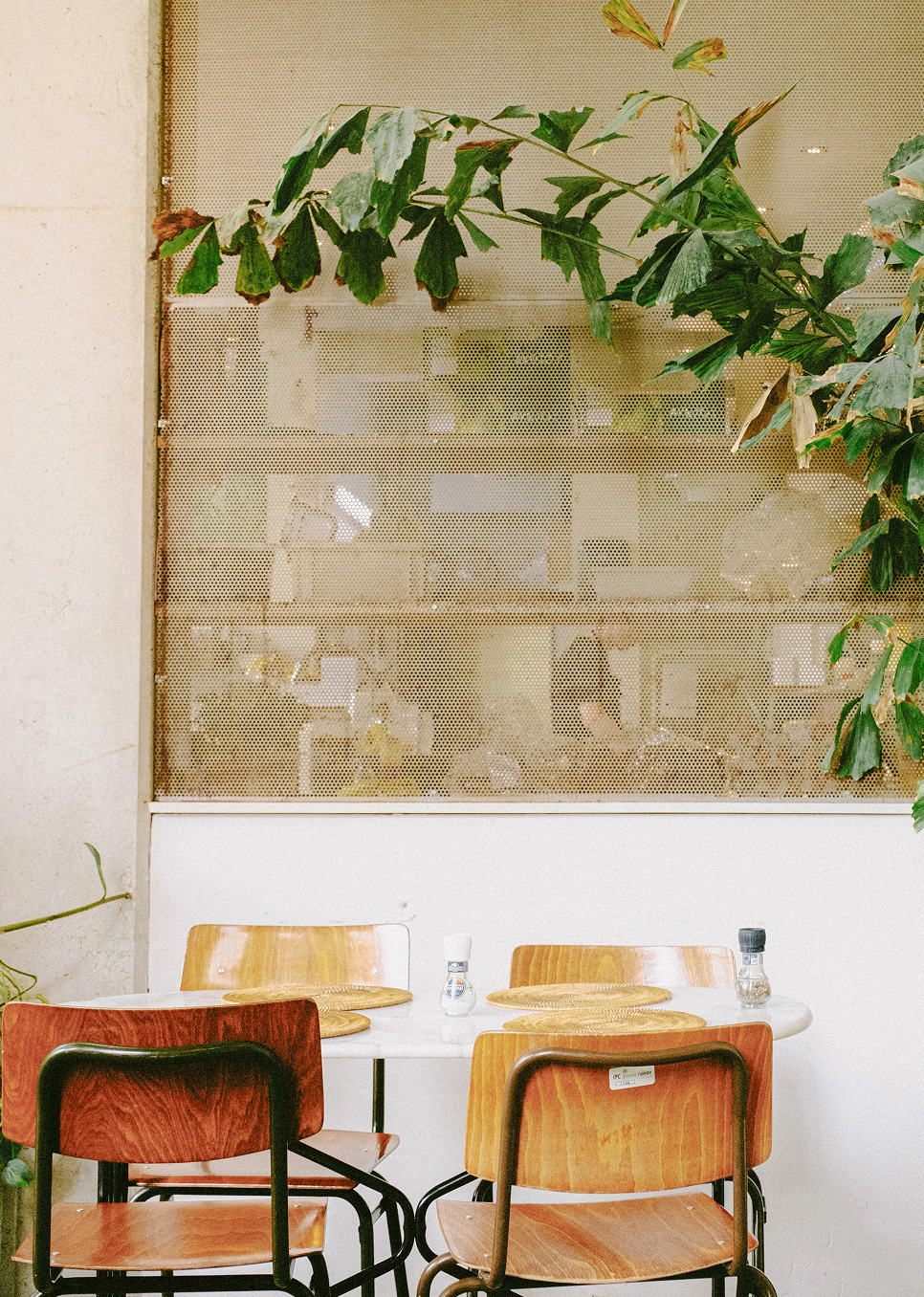 Brown chairs around a table with a bookcase and greenery in the background